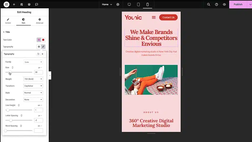 extension wordpress elementor